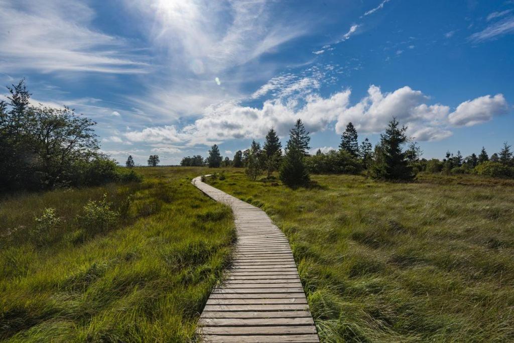 Le Gagnage 31 Pers- Malmedy, Rustique, Vue, Wellness Villa Luaran gambar